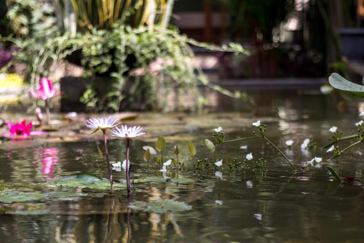乌布 Hidden Padma Retreat酒店 外观 照片